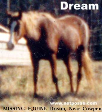 MISSING EQUINE Dream, Near Cowpens, SC, 29330